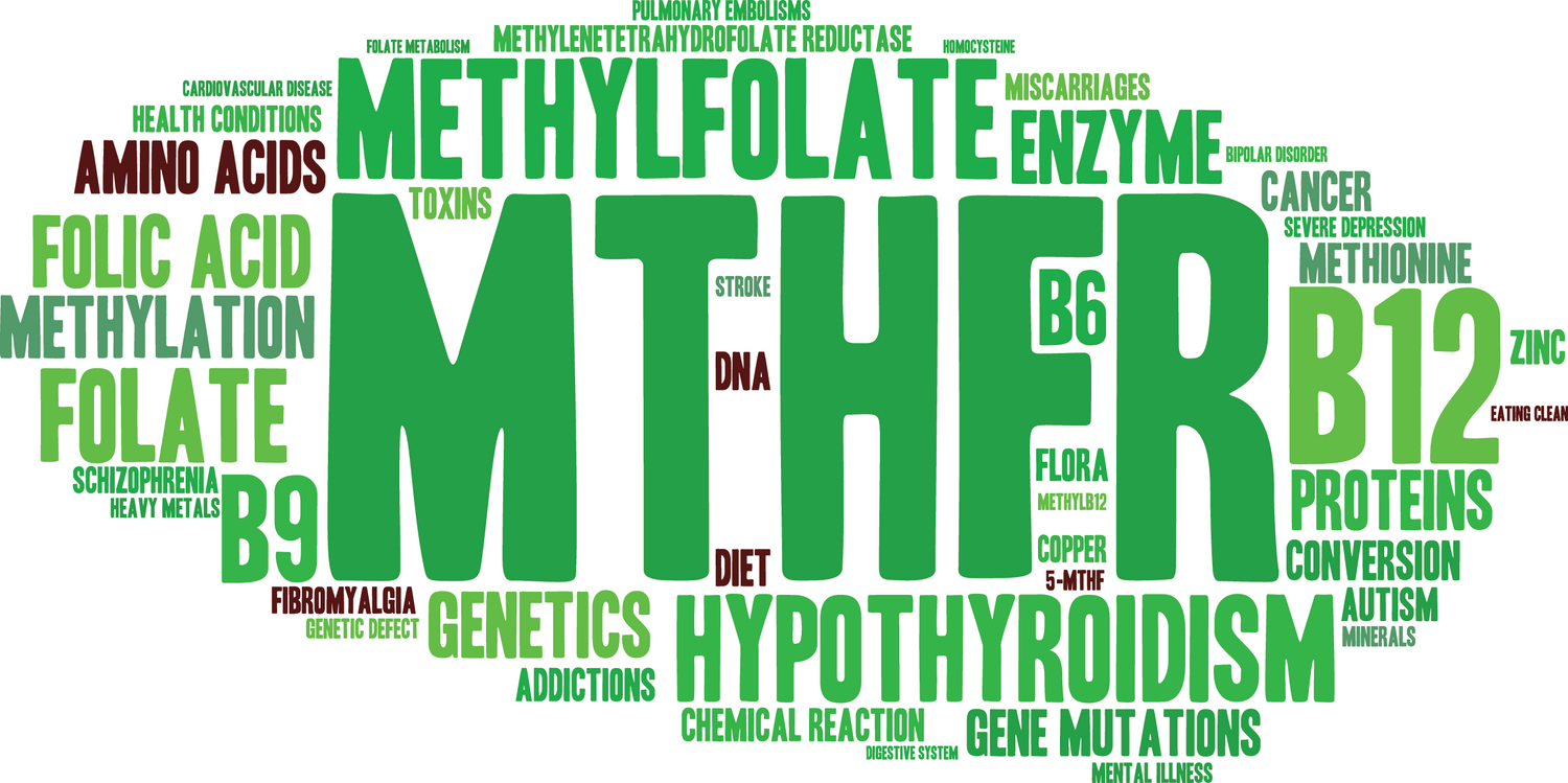 What is MTHFR Gene Mutation? Why Is It Important?