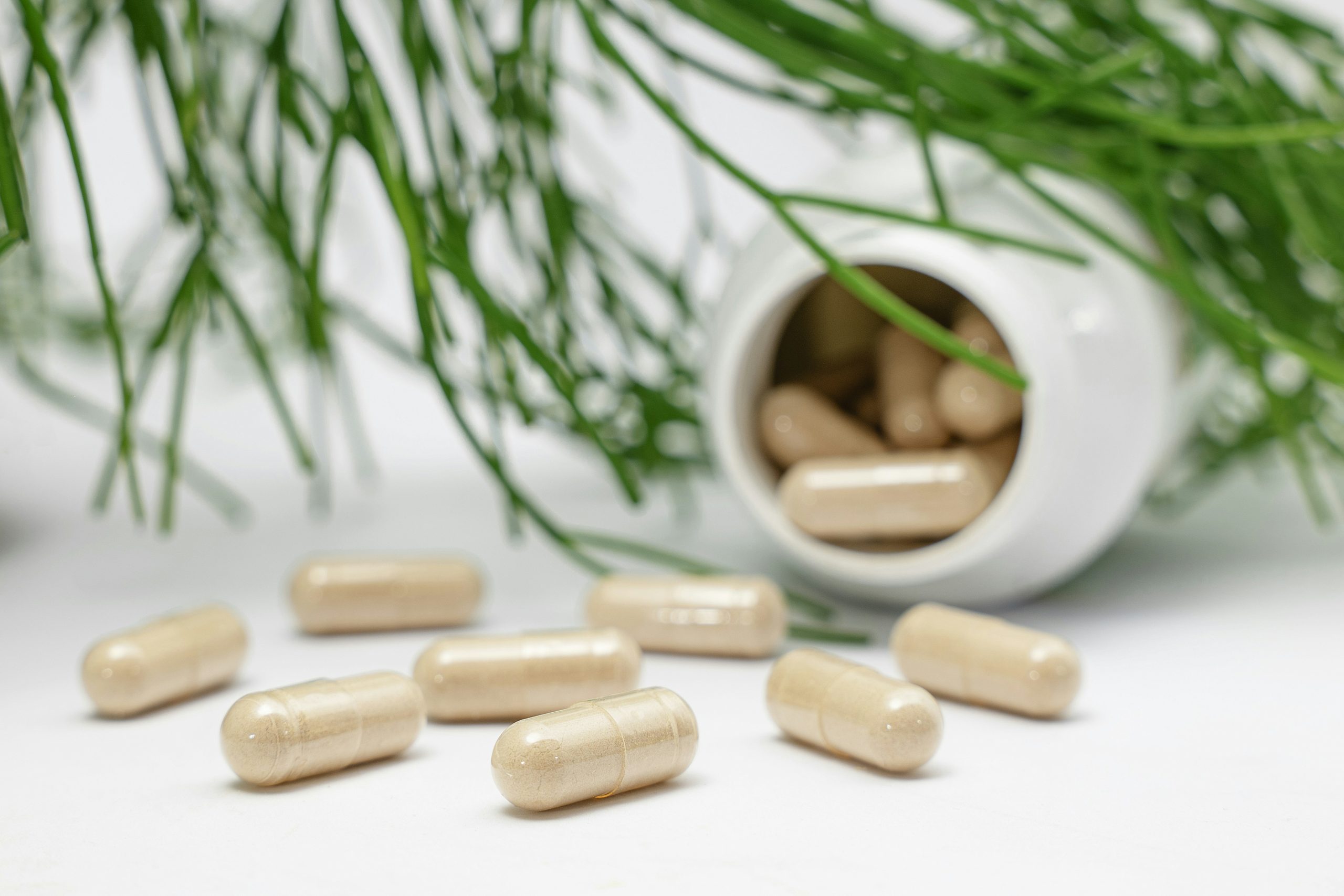 Why Consider Supplements to Address Mood Swings and Burnout