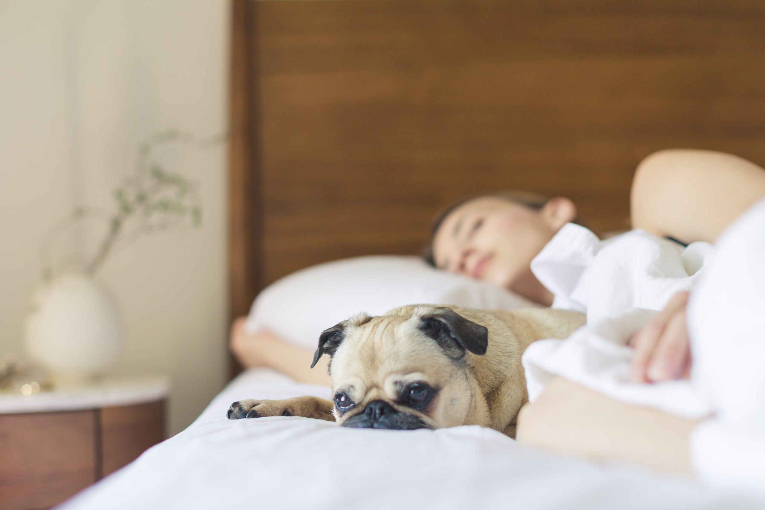 Best Magnesium Glycinate for Sleep: Dose and Timing