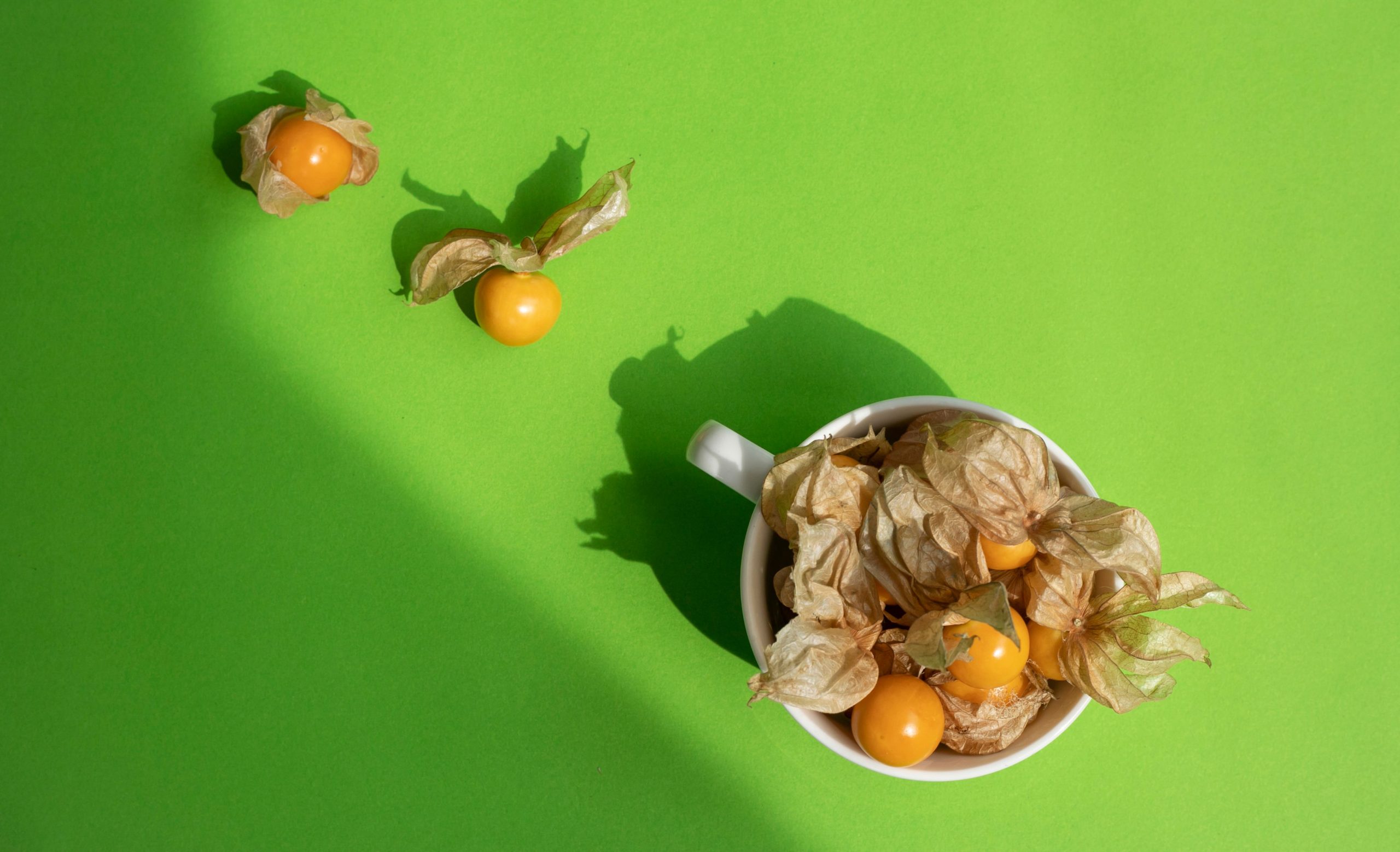 Ashwagandha and Cortisol: Does It Lower Cortisol and by How Much?